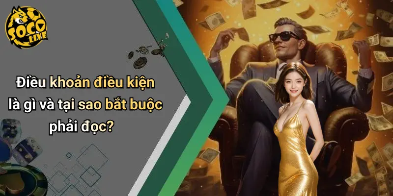 Điều Khoản Điều Kiện 1 Điều Khoản Điều Kiện