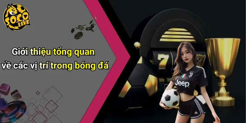 Các Vị Trí Trong Bóng Đá