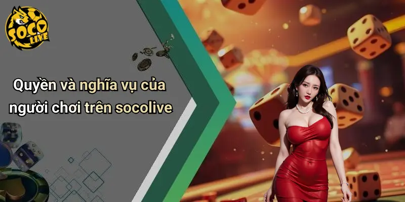 Điều Khoản Điều Kiện 3 Điều Khoản Điều Kiện