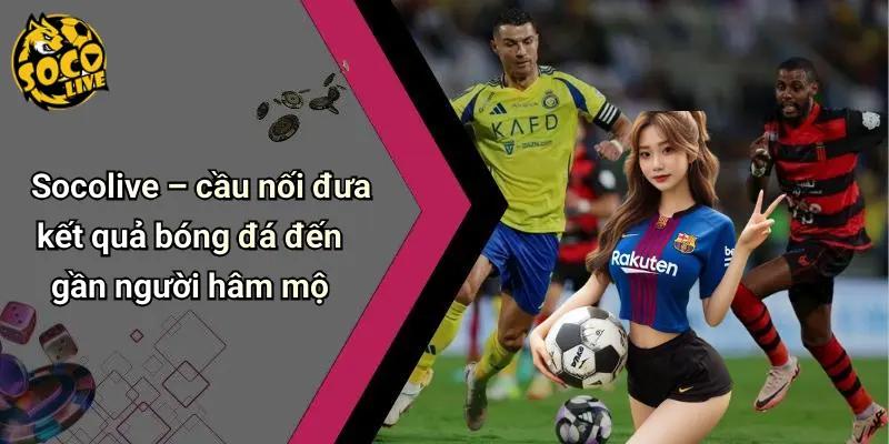 Kết Quả Bóng Đá 30 Kết Quả Bóng Đá