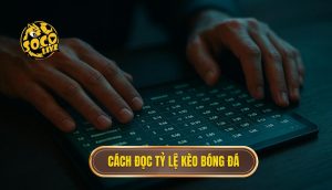 Cách đọc tỷ lệ kèo bóng đá