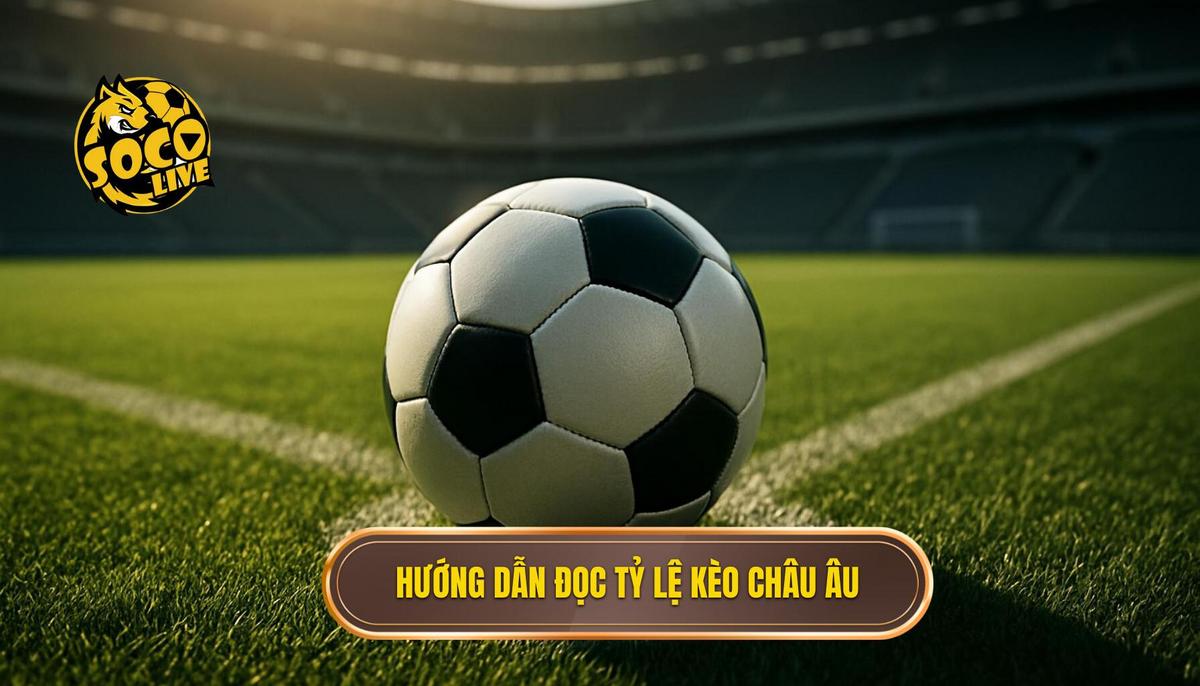 Nắm Vững Cách Đọc Tỷ Lệ Kèo Châu Âu (1X2)
