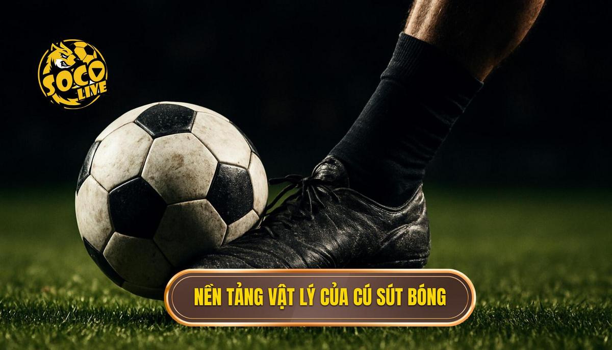 Nền tảng vật lý và cơ học của cú sút má ngoài