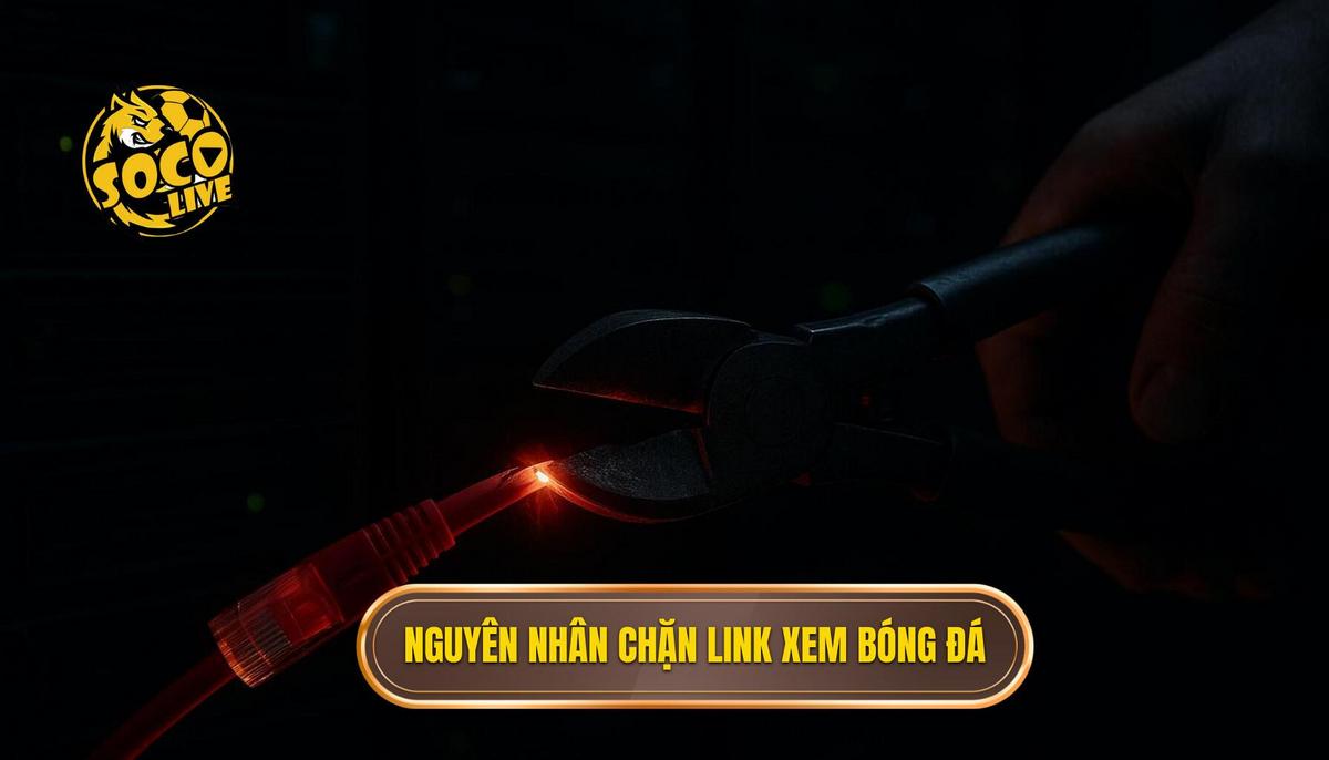 Nguyên nhân và cơ chế khiến các link xem bóng đá bị chặn