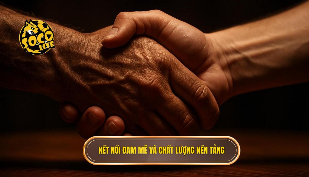 Sứ mệnh kết nối đam mê và tiêu chuẩn chất lượng của nền tảng