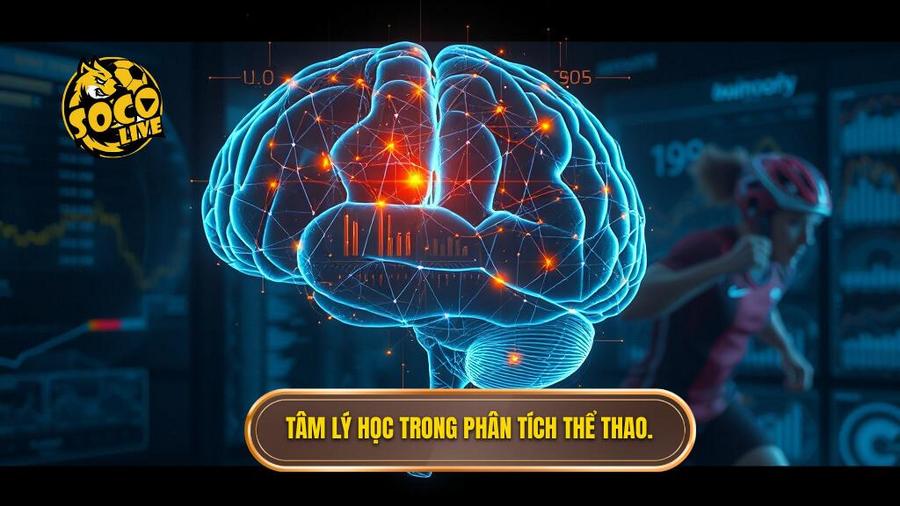 Tâm lý học trong phân tích thể thao.