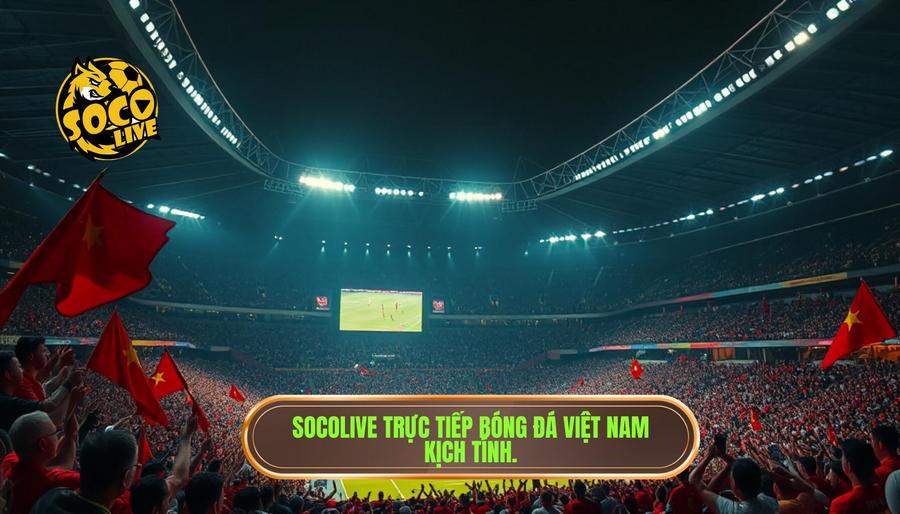 Sức hút mãnh liệt của socolive trực tiếp bóng đá Việt Nam