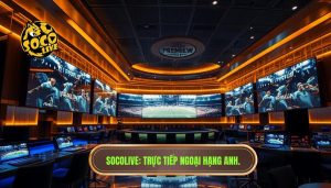 Socolive Trực Tiếp Ngoại Hạng Anh Hôm Nay - Link HD Không Chặn